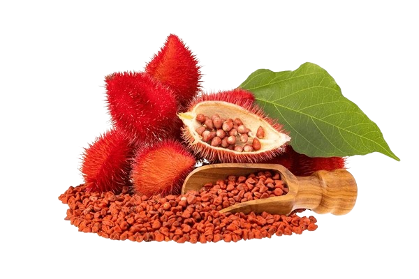 red-organic-annatto-seeds-spoon-600nw-2501533367-removebg-preview